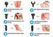Перкусійний масажер EasyFit Percussio для тіла з 6 насадками 2827128923 фото 3