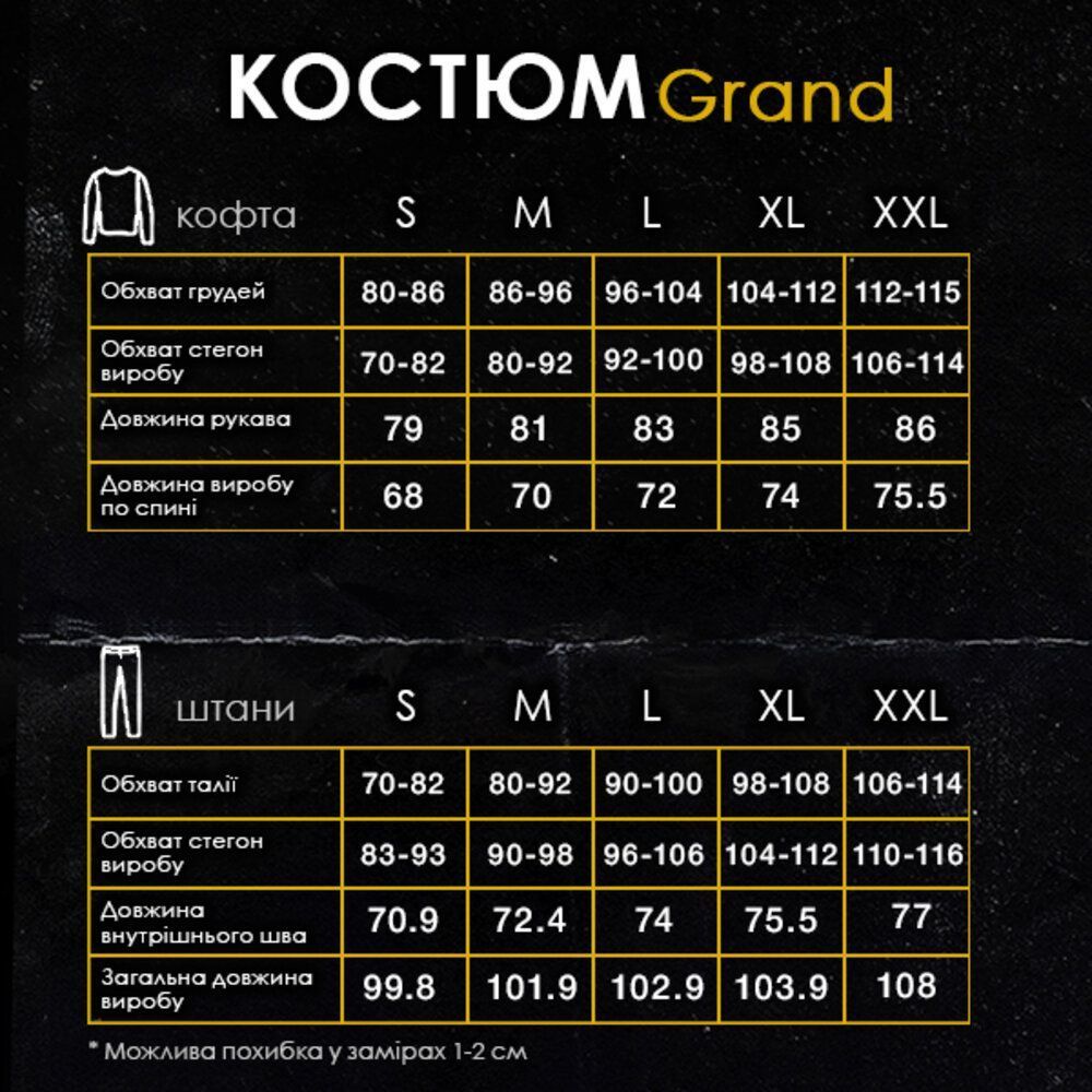 Спортивний костюм чоловічий графіт кофта зі штанами Pobedov Grand 00000006235 фото