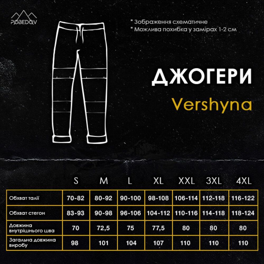 Чоловічі штани джогери з кишенями сині Pobedov Vershyna 00000006003 фото