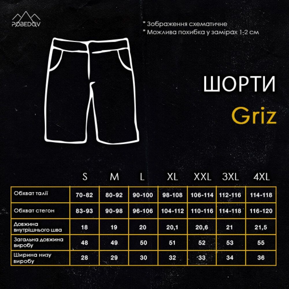Легкі однотонні сталеві чоловічі шорти Pobedov Griz 00000006384 фото